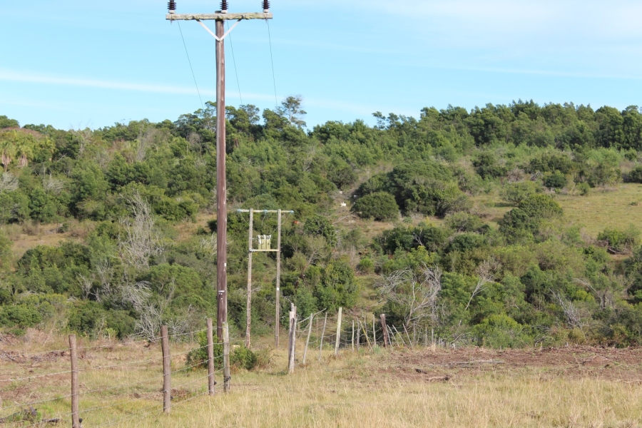 1 Bedroom Property for Sale in Bathurst Rural Eastern Cape